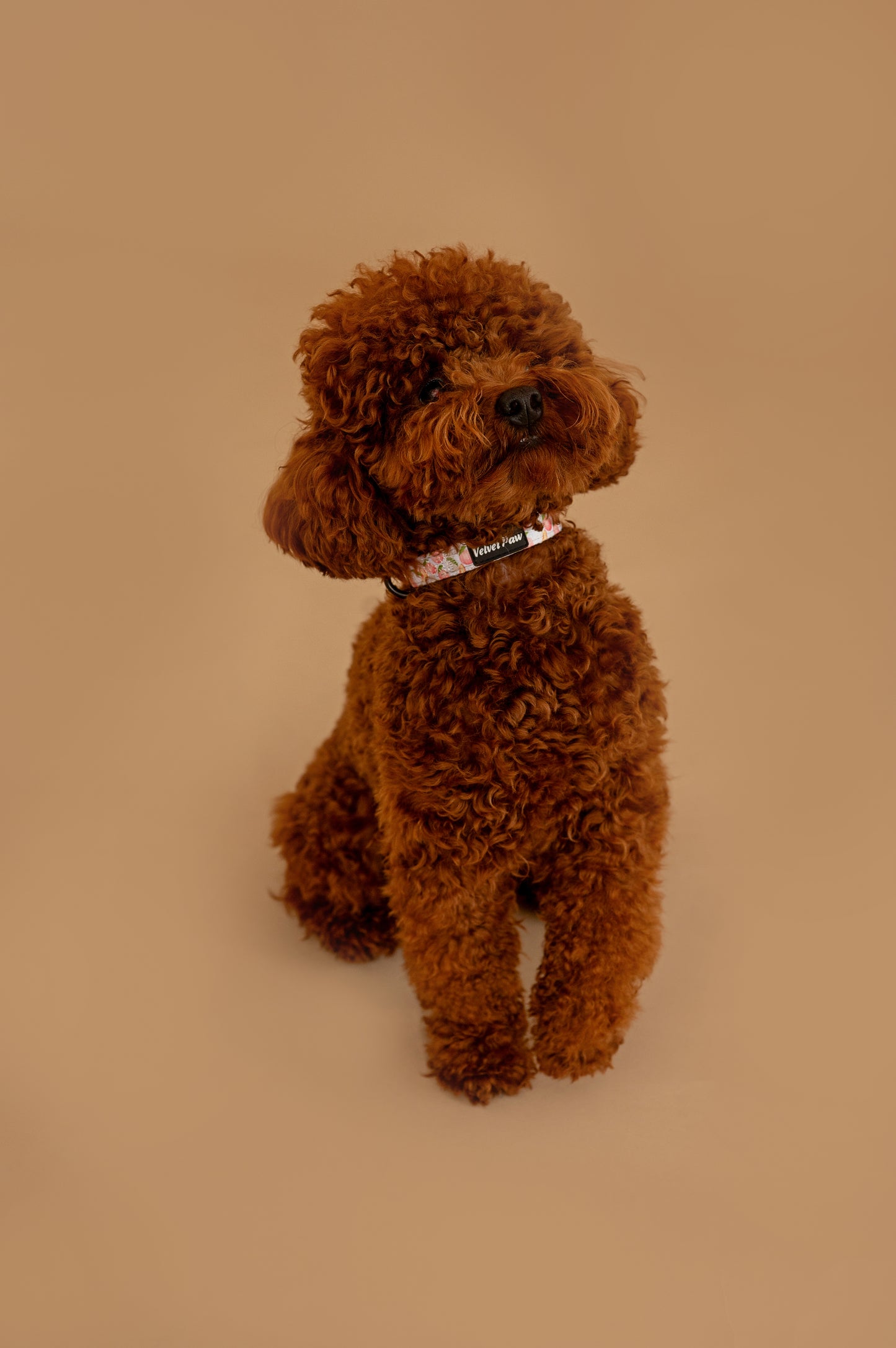 Нашийник за куче Peach Velvet Paw