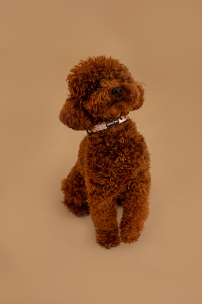 Нашийник Peach