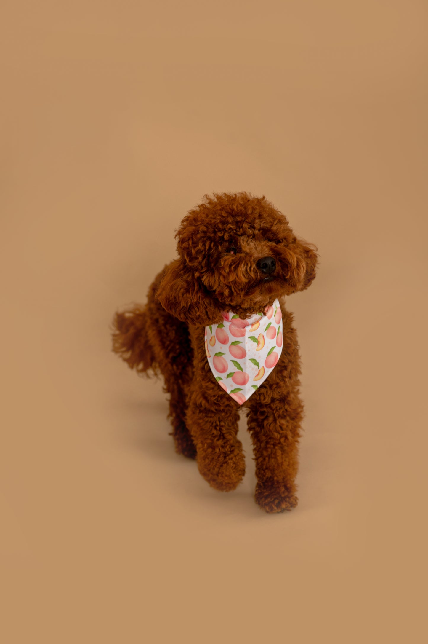 Бандана Peach