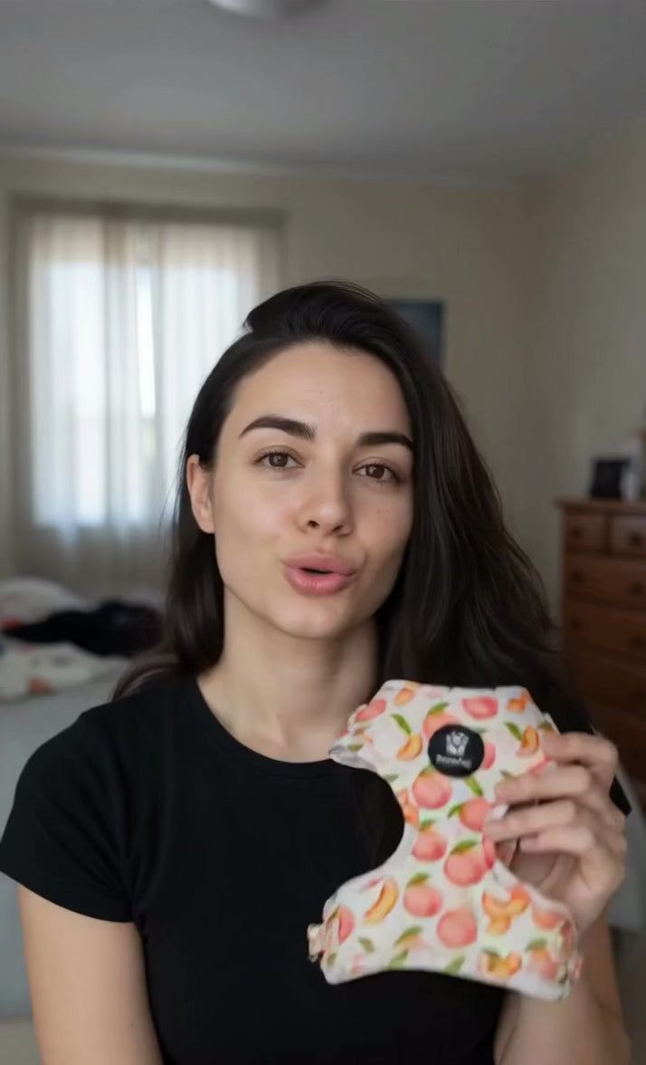 Зареждане на видео: 